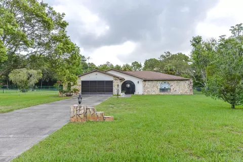 13101 Hazelcrest St, Spring Hill, FL 34609 photo 1