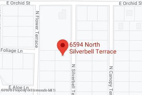 6594 N Silverbell Ter, Hernando, FL 34442 photo 1