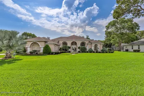 3302 Cilly Ave, Spring Hill, FL 34609 photo 1
