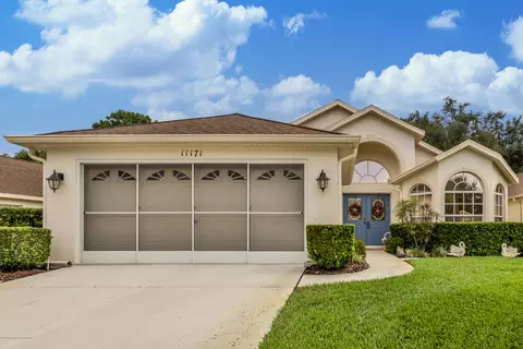 11171 Heathrow Ave, Spring Hill, FL 34609 photo 1