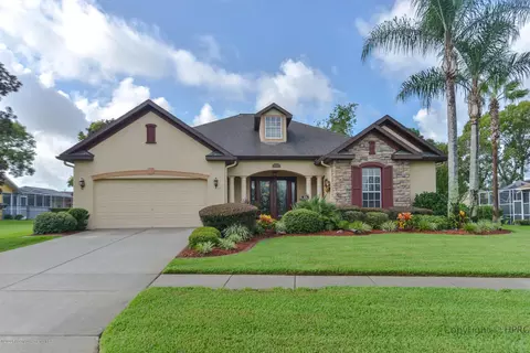 14234 Cornewall Ln, Spring Hill, FL 34609 photo 1
