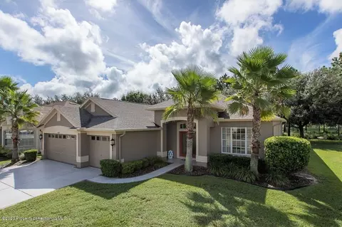 11684 New Britain Dr, Spring Hill, FL 34609 photo 1