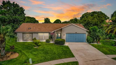 1269 Lansing St, Spring Hill, FL 34608 photo 1