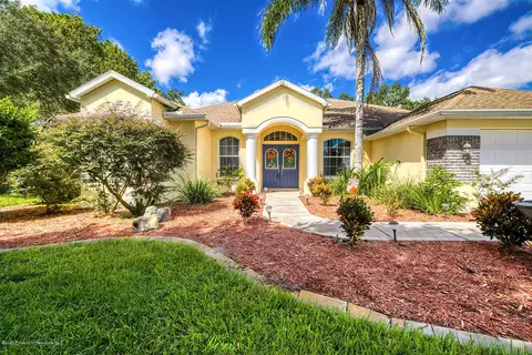 9499 Elida Rd, Spring Hill, FL 34608 photo 1