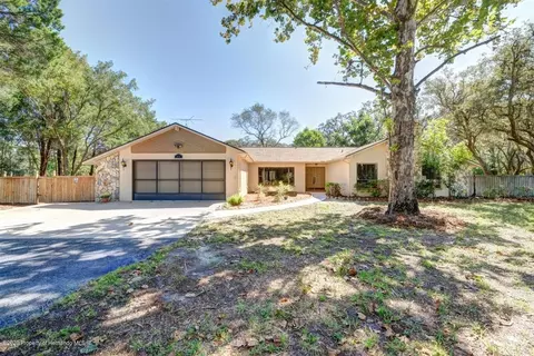 352 Peach Tree Dr, Spring Hill, FL 34608 photo 1