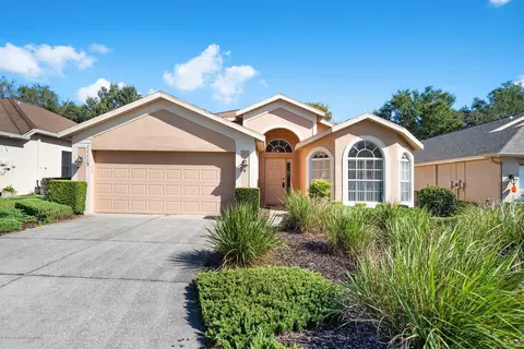 11115 Heathrow Ave, Spring Hill, FL 34609 photo 1