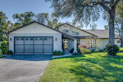 8380 Camphor Dr, Spring Hill, FL 34606 photo 1