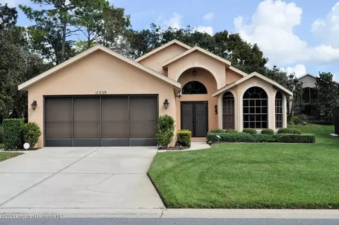 11339 Copley Ct, Spring Hill, FL 34609 photo 1