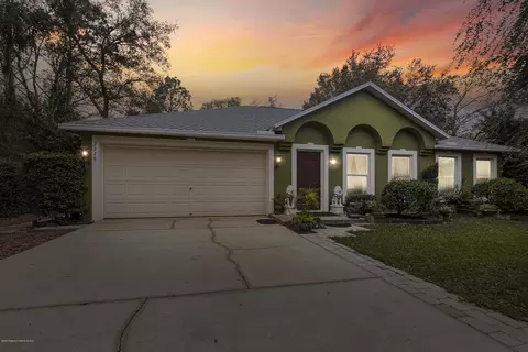 3318 Dow Ln, Spring Hill, FL 34609 photo 1