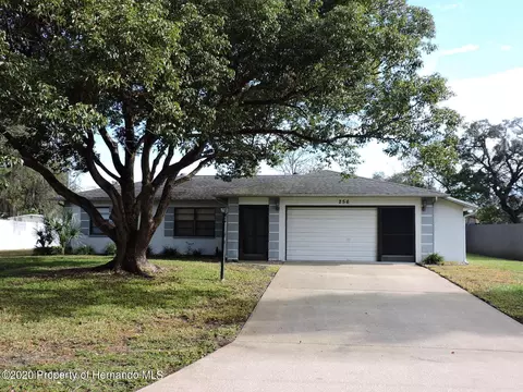 256 Glenlock Ln, Spring Hill, FL 34606 photo 1