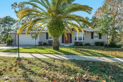 4348 Oriole Ave, Spring Hill, FL 34608 photo 1