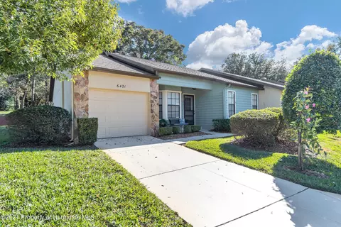 6421 Tapestry Cir, Spring Hill, FL 34606 photo 1