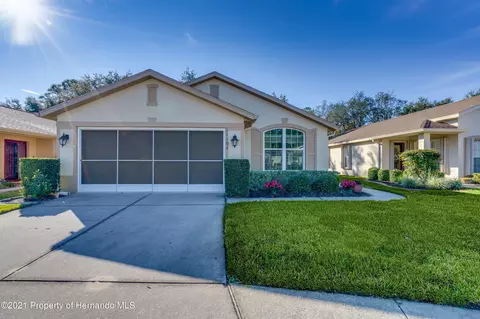 11194 Heathrow Ave, Spring Hill, FL 34609 photo 1