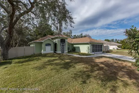 1035 Hallcrest Ave, Spring Hill, FL 34608 photo 1