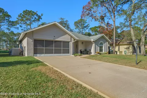 6413 Pine Meadows Dr, Spring Hill, FL 34606 photo 1