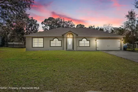 11056 Avis St, Spring Hill, FL 34608 photo 1