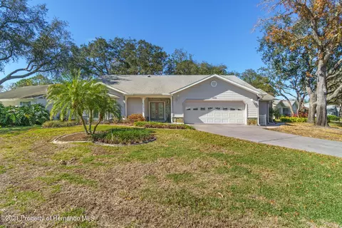 6550 Pine Meadows Dr, Spring Hill, FL 34606 photo 1