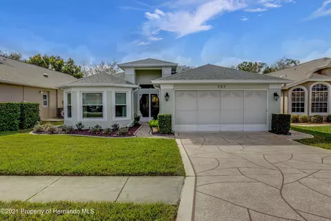 303 Quane Ave, Spring Hill, FL 34609 photo 1
