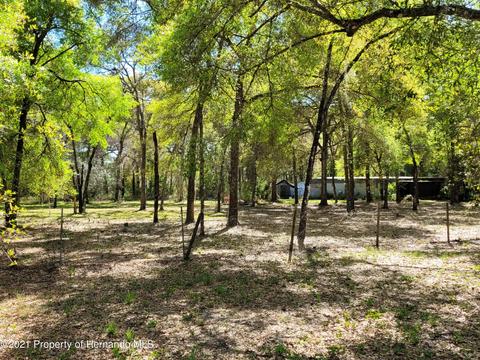 17823 Caufield Rd, Spring Hill, FL 34610 photo 1
