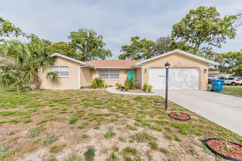 11261 Riddle Dr, Spring Hill, FL 34609 photo 1