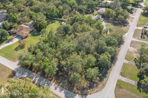 9507 Elida Rd, Spring Hill, FL 34608 photo 1