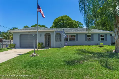 2048 Wesbitt Ave, Spring Hill, FL 34608 photo 1