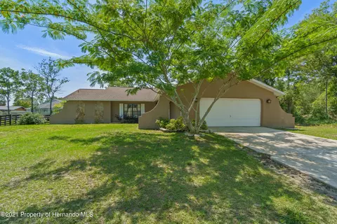 13518 Drayton Dr, Spring Hill, FL 34609 photo 1