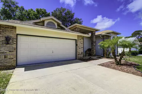 7248 Bottle Brush Dr, Spring Hill, FL 34606 photo 1