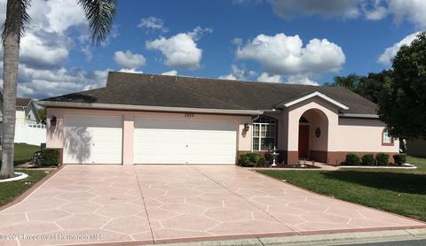7377 Botanical Dr, Spring Hill, FL 34607 photo 1