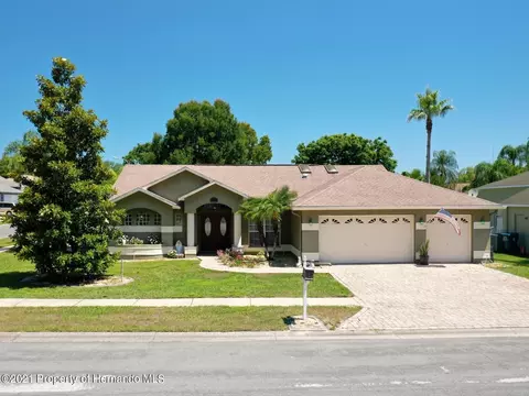10271 Sharkey Ct, Spring Hill, FL 34608 photo 1