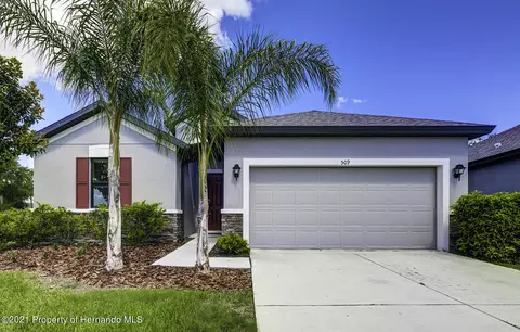 509 Old Windsor Way, Spring Hill, FL 34609 photo 1