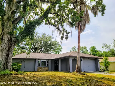 9338 Jena Rd, Spring Hill, FL 34608 photo 1