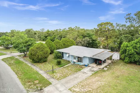 1165 Trellis Ave, Spring Hill, FL 34606 photo 1
