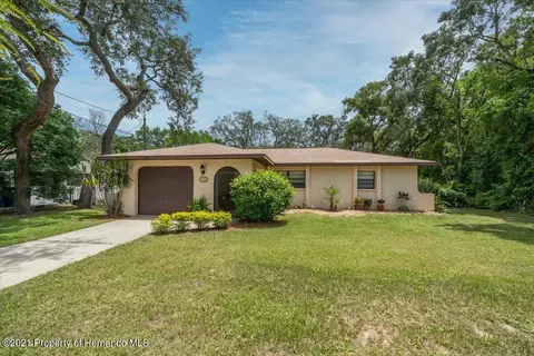 6260 Newmark St, Spring Hill, FL 34606 photo 1