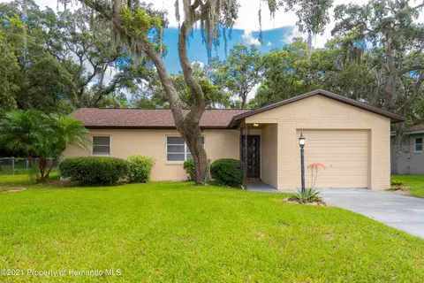 6225 Hillview Rd, Spring Hill, FL 34606 photo 1