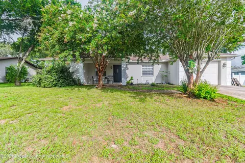 1446 Deborah Dr, Spring Hill, FL 34609 photo 1