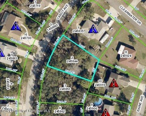 124 Cabot Ave, Spring Hill, FL 34606 photo 1