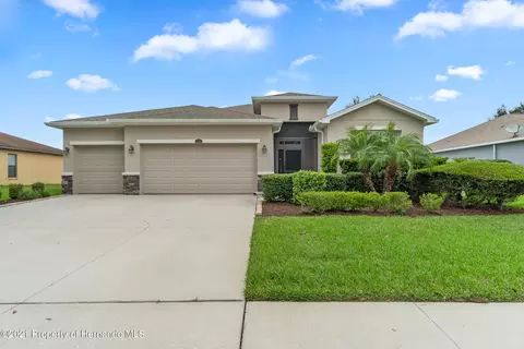 13411 Chesapeake Pl, Spring Hill, FL 34609 photo 1