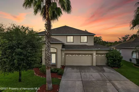 14749 Edgemere Dr, Spring Hill, FL 34609 photo 1