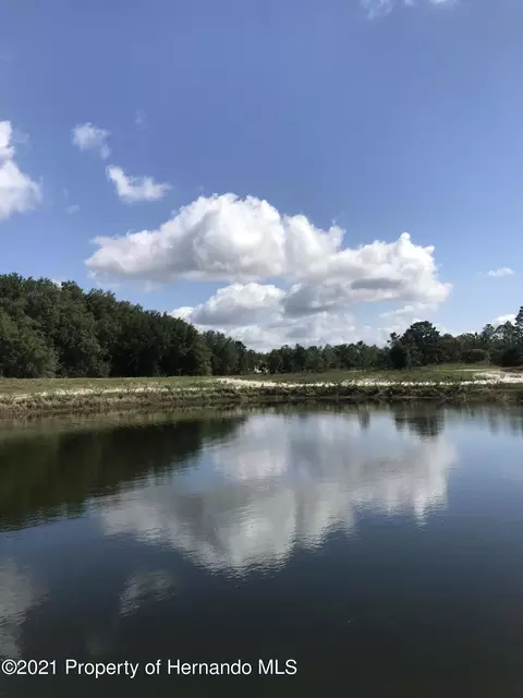 0 Lomita Wren Rd, Brooksville, FL 34614