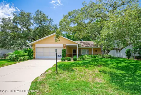 6397 Pine Meadows Dr, Spring Hill, FL 34606 photo 1