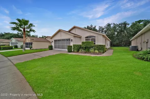 11222 Heathrow Ave, Spring Hill, FL 34609 photo 1