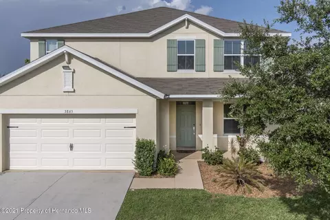3865 Bramblewood Loop, Spring Hill, FL 34609 photo 1