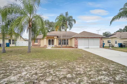 8307 Berkeley Manor Blvd, Spring Hill, FL 34606 photo 1