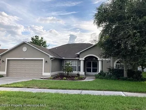 1207 Overland Dr, Spring Hill, FL 34608 photo 1