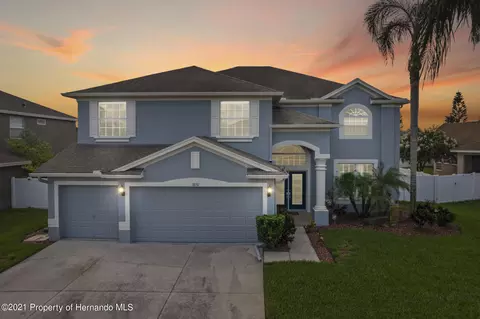 1850 Pink Guara Ct, Trinity, FL 34655 photo 1