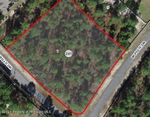 . N Amarillo Drive, Beverly Hills, FL 34465