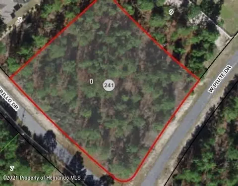. N Amarillo Drive, Beverly Hills, FL 34465