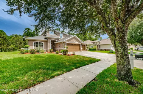 4599 Birchfield Loop, Spring Hill, FL 34609 photo 1