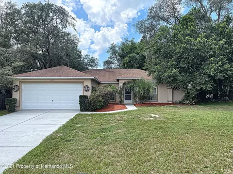 6290 Hillview Rd, Spring Hill, FL 34606 photo 1
